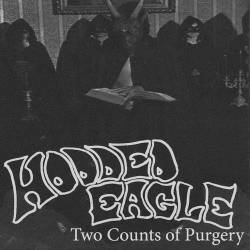 Hooded Eagle : Two Counts of Perjury